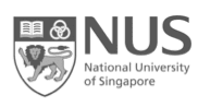 National University of Singapore